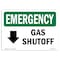 Signmission Safety Sign, OSHA EMERGENCY, 12" Height, Aluminum, Gas Shutoff (Down Arrow), Landscape OS-EM-A-1218-L-10387 - alternate 1